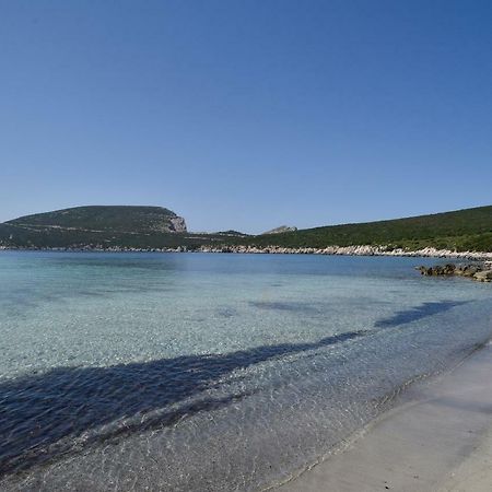 Villa Margherita Alghero Exteriér fotografie