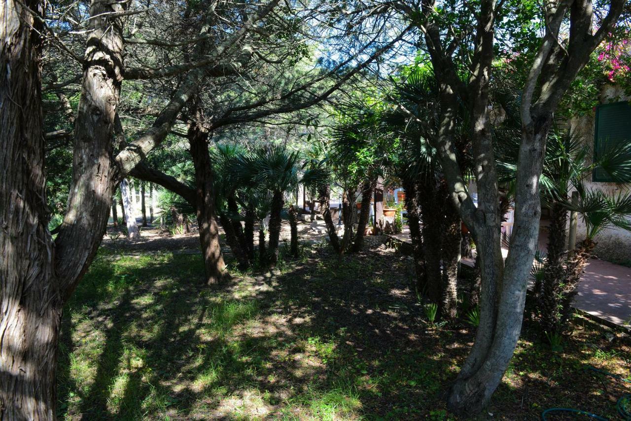 Villa Margherita Alghero Exteriér fotografie